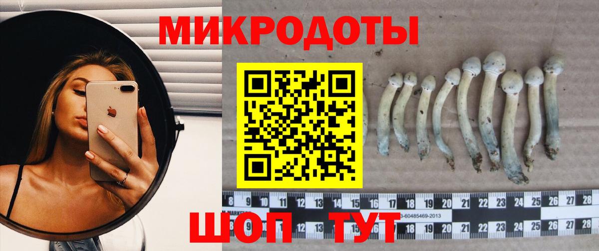 Галлюциногенные грибы Cubensis  Вход с VPN  Улан-Удэ 